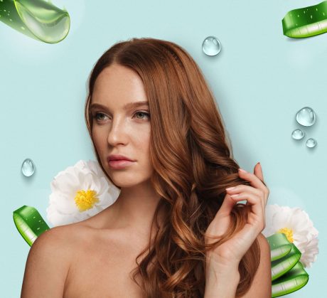 Camellia + Aloe Vera - Model